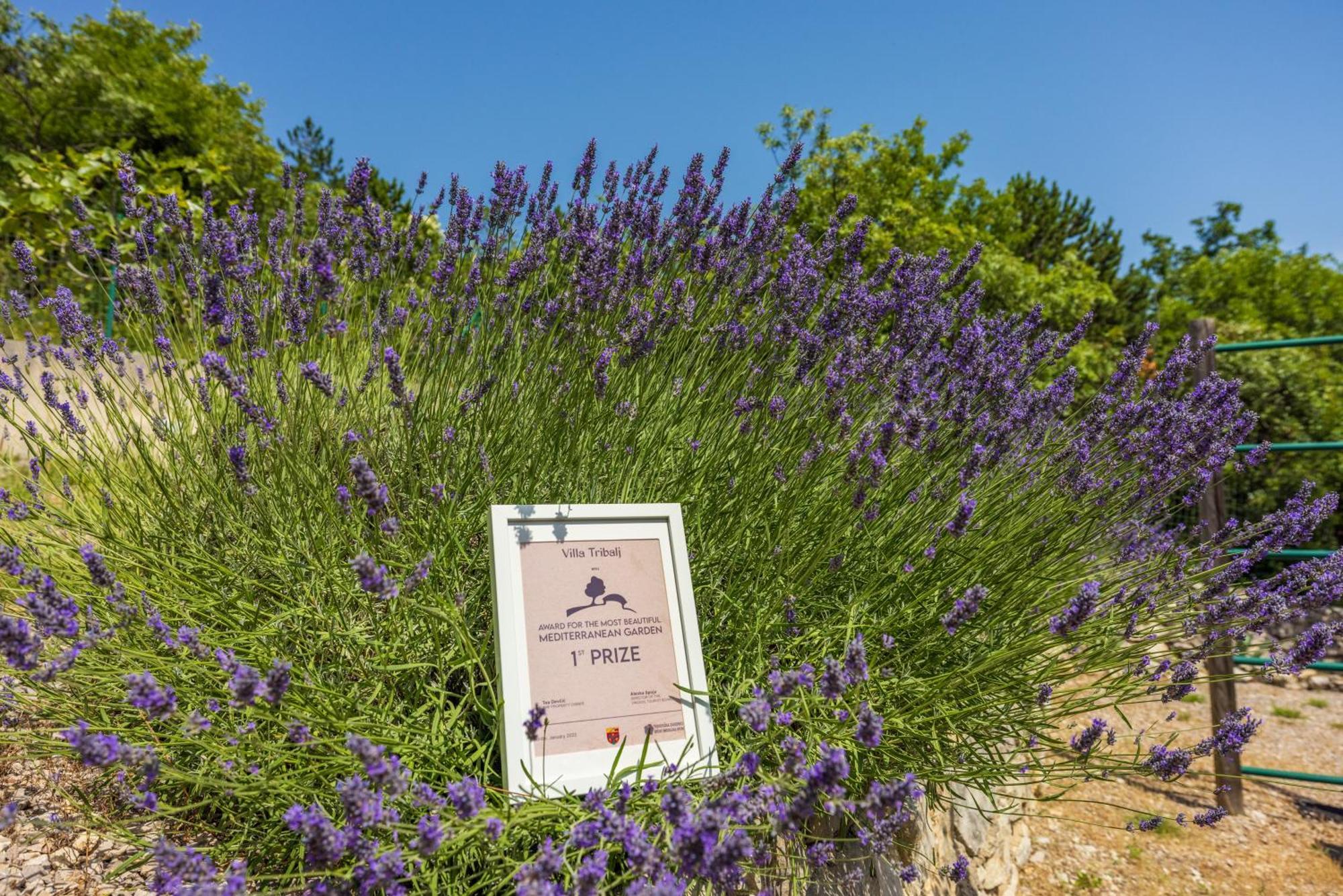 Villa Tribalj Tribalj  Dış mekan fotoğraf